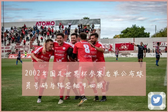 2002年国足世界杯参赛名单公布球员号码与阵容细节回顾