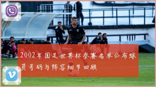 2002年国足世界杯参赛名单公布球员号码与阵容细节回顾