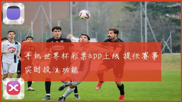 手机世界杯彩票app上线 提供赛事实时投注功能