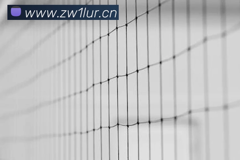 足球世界杯官方网站APP 高清赛事图